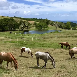 La Ferme Des Etangs , Riviere-Salee Martinique